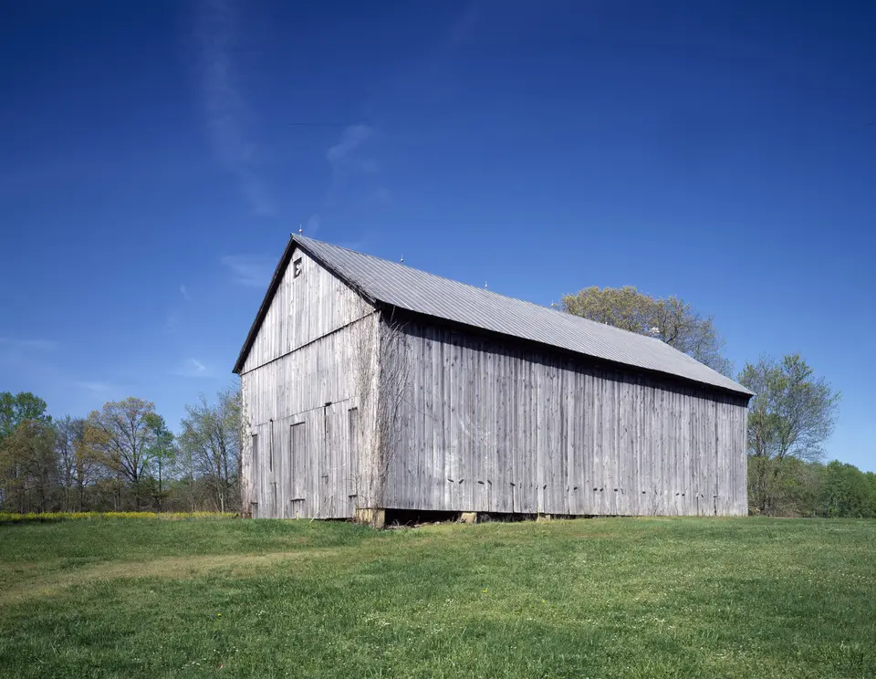 A weathered wooden tobacco-curing barn in a green field under a deep blue sky.
